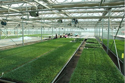 鄉(xiāng)村巧搭數(shù)字快車(chē) 智能農(nóng)業(yè)管理助力鄉(xiāng)村振興