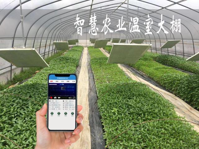 智慧農業解決方案系統概述（二） 農業數字化與智能化升級