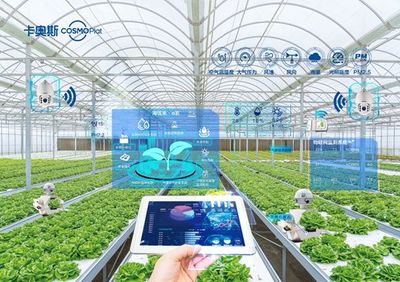 卡奧斯海優(yōu)禾入選農(nóng)業(yè)農(nóng)村部信息中心優(yōu)秀案例 科技點(diǎn)亮田間，智能管理賦能鄉(xiāng)村振興